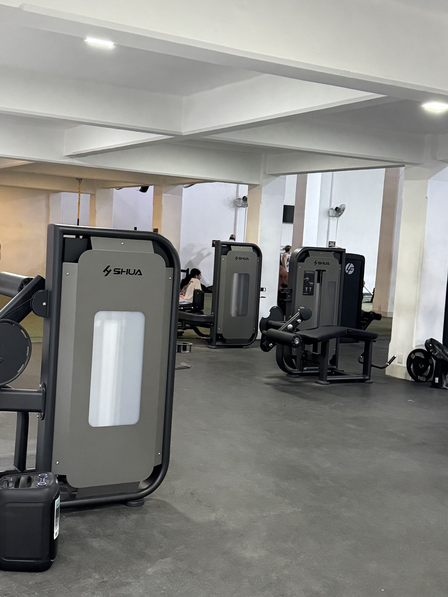 Piso de pesas y máquinas en LUX Fitness